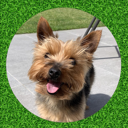 Custom Personalised Metal Golf Ball Marker - just add your Dog Puppy Pet Photo!