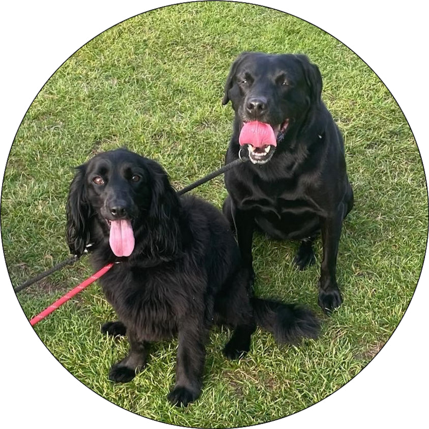 Custom Personalised Metal Golf Ball Marker - just add your Dog Puppy Pet Photo!